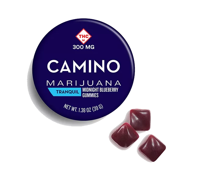 Camino Midnight Blueberry High Dose Gummies