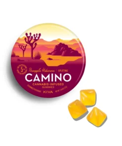 Camino Pineapple Habanero Uplifting Gummies