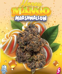 Honey Mango 2