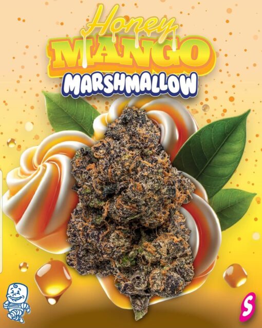 Honey Mango 2