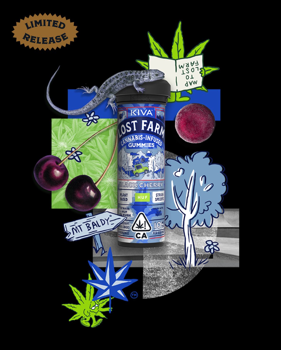 Black Cherry THC Gummies