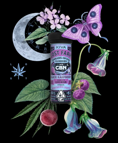 CBN Black Raspberry Gummies